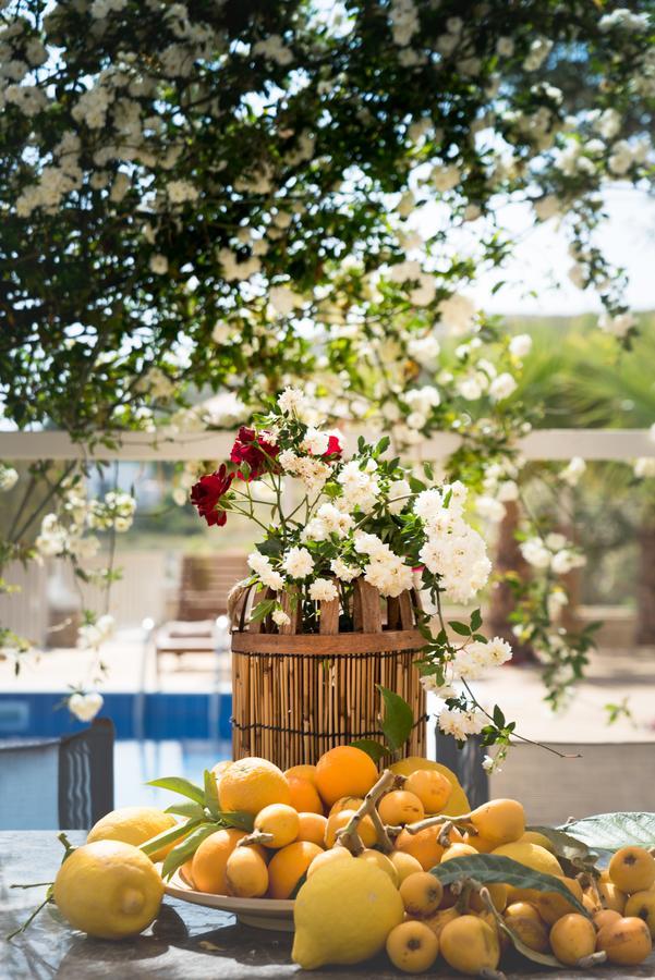 Aristidis Country Villa-Anesis Kamilari Luaran gambar